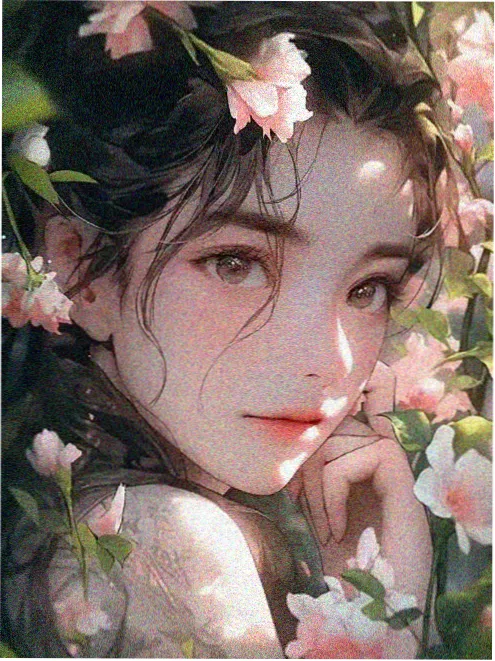 龙猫
